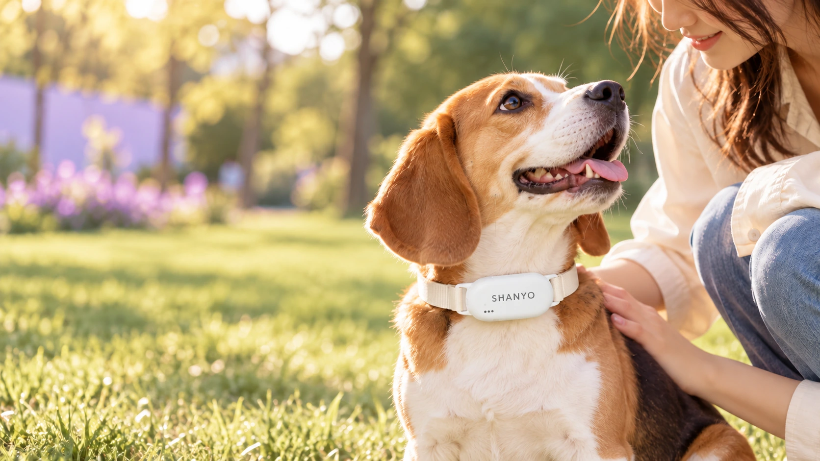 An everyday moment outdoors · SHANYO collar