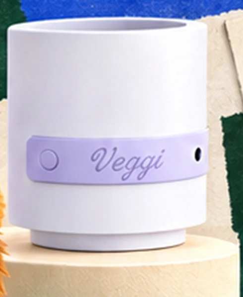 Veggi 智能花盆